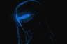 In Stealth